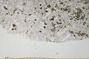 Plane Polarized, S49814