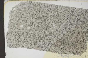 Plane Polarized, S49819
