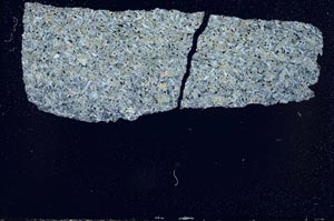 Cross Polarized, S49827
