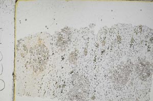 Plane Polarized, S49830