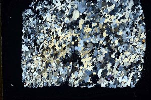 Cross Polarized, S49834