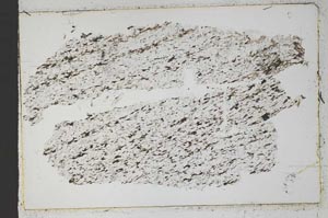 Plane Polarized, S49840