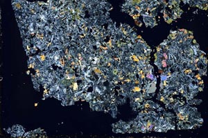 Cross Polarized, S49849/A