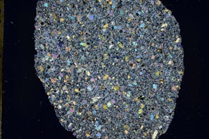 Cross Polarized, S49850