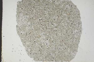 Plane Polarized, S49850