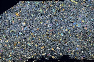 Cross Polarized, S49850/A