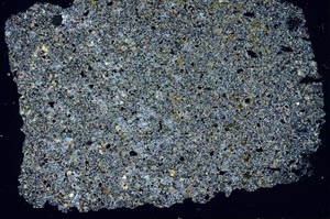 Cross Polarized, S49851