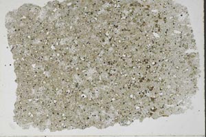 Plane Polarized, S49851