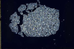 Cross Polarized, S49851/A