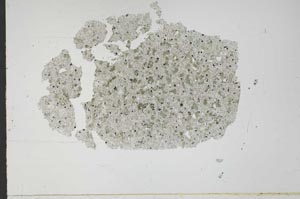 Plane Polarized, S49851/A