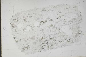 Plane Polarized, S49857