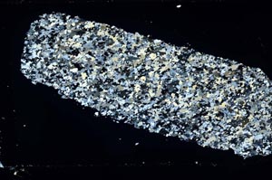 Cross Polarized, S49862