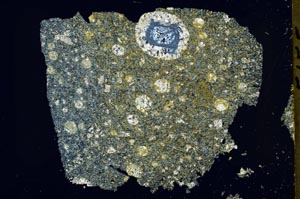 Cross Polarized, S49880