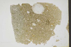 Plane Polarized, S49880