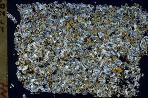 Cross Polarized, S49881