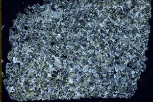 Cross Polarized, S49882