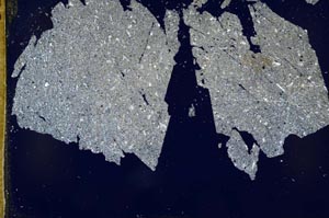 Cross Polarized, S49885