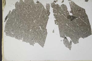 Plane Polarized, S49885