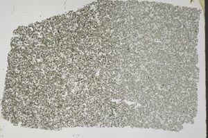 Plane Polarized, S49889