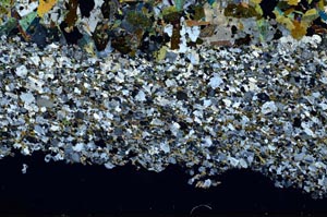 Cross Polarized, S49894