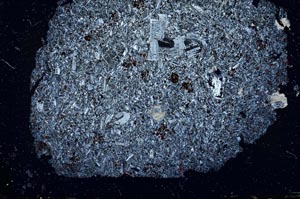 Cross Polarized, S49920