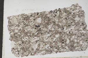 Plane Polarized, S49921