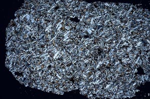 Cross Polarized, S49950