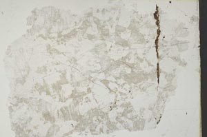 Plane Polarized, S49981