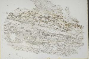 Plane Polarized, S49996