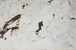 Plane Polarized, S50085