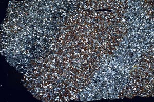 Cross Polarized, S50092