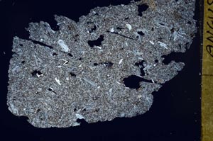 Cross Polarized, S50108