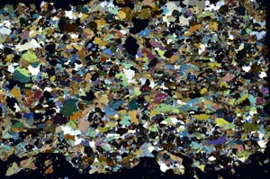 Cross Polarized, S50145