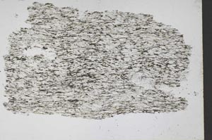 Plane Polarized, S50173