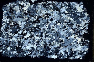Cross Polarized, S50182