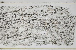 Plane Polarized, S50195