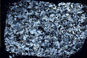 Cross Polarized, S50202