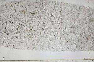 Plane Polarized, S50239