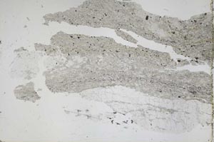 Plane Polarized, S50258