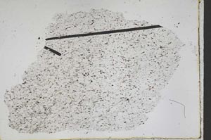 Plane Polarized, S50263