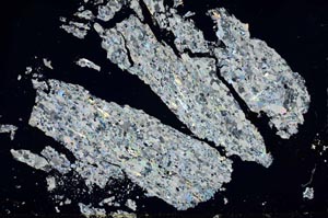 Cross Polarized, S50264