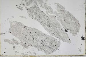 Plane Polarized, S50264