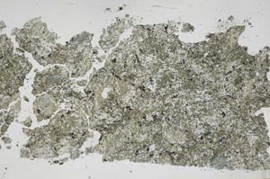 Plane Polarized, S50265