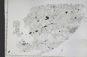 Plane Polarized, S50267