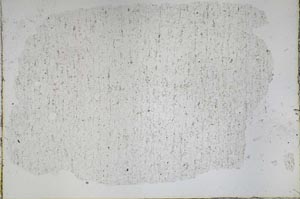 Plane Polarized, S50272