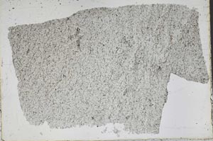 Plane Polarized, S50273