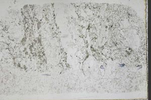 Plane Polarized, S50277