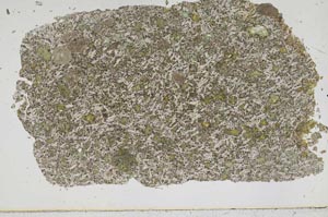 Plane Polarized, S50311