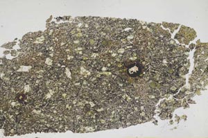 Plane Polarized, S50312