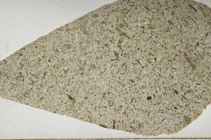 Plane Polarized, S50392/A